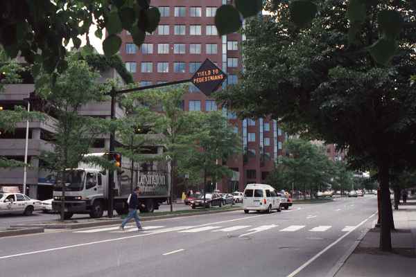 Broadway yield sign.jpg (27405 bytes)