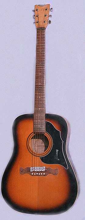 31-tone guitar neck on Framus acostic guitar body